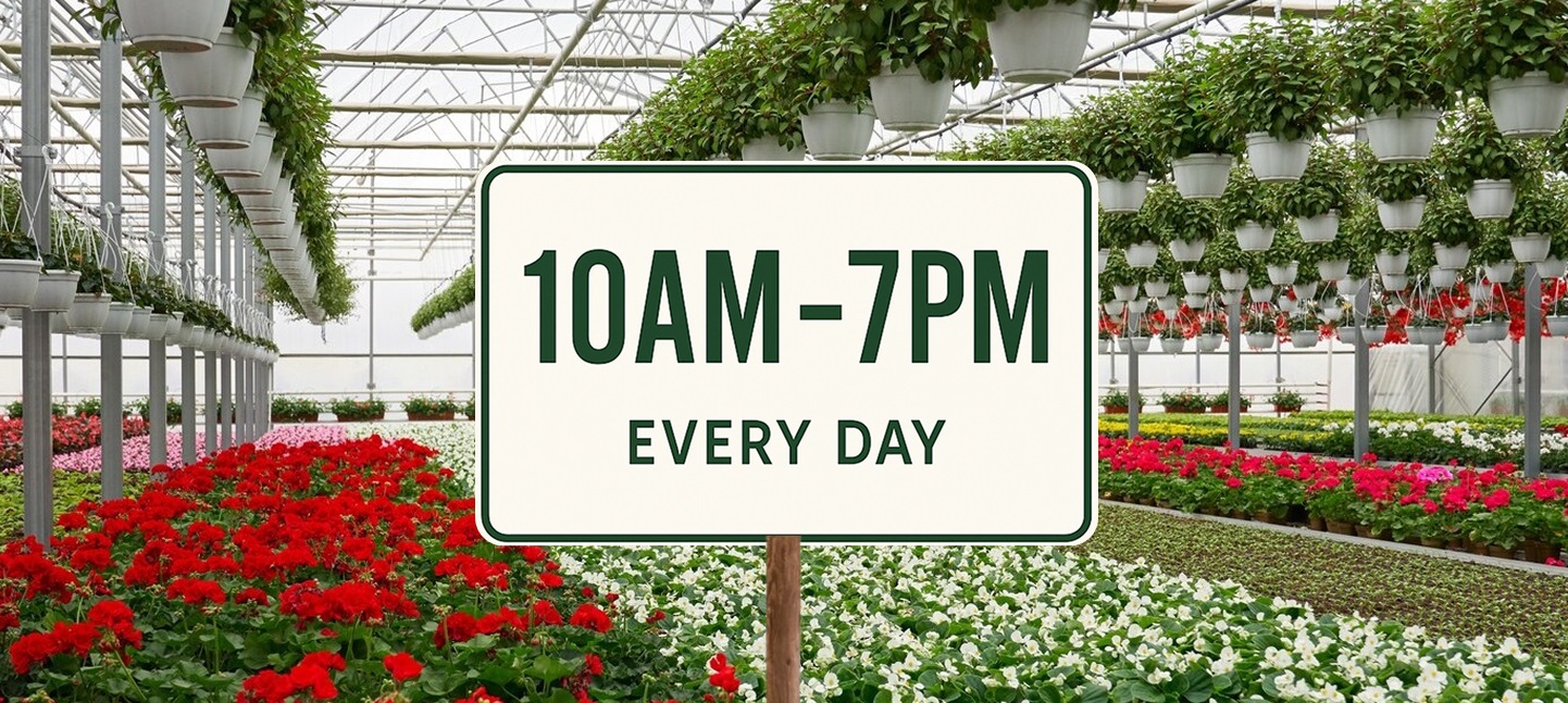 Opening Hours